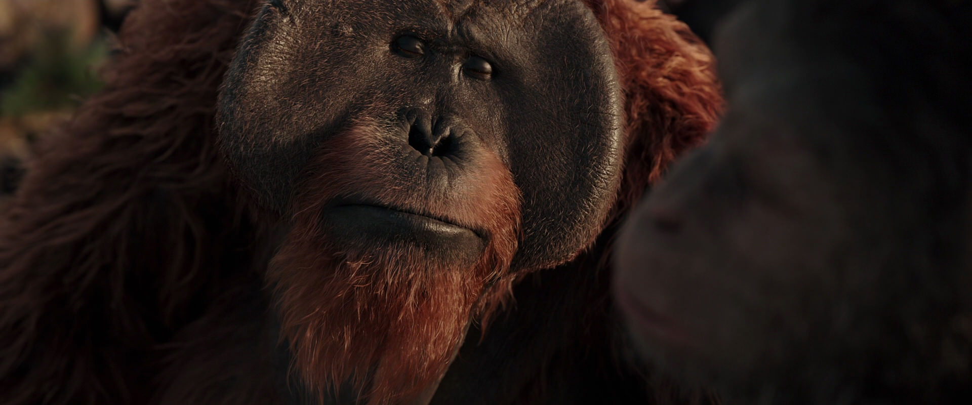War for the Planet of the Apes (2017) movie still 15556