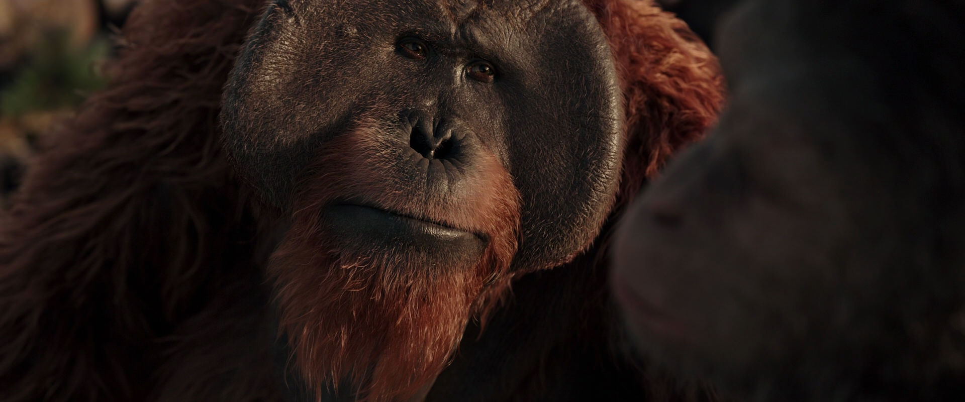 War for the Planet of the Apes (2017) HD screenshot 15557