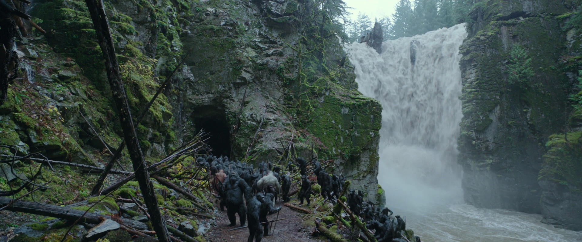 War for the Planet of the Apes (2017) HD screenshot 1556