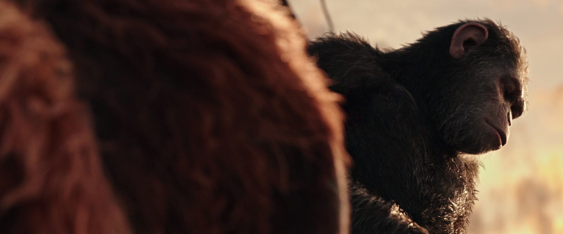 War for the Planet of the Apes (2017) HD screenshot 15575