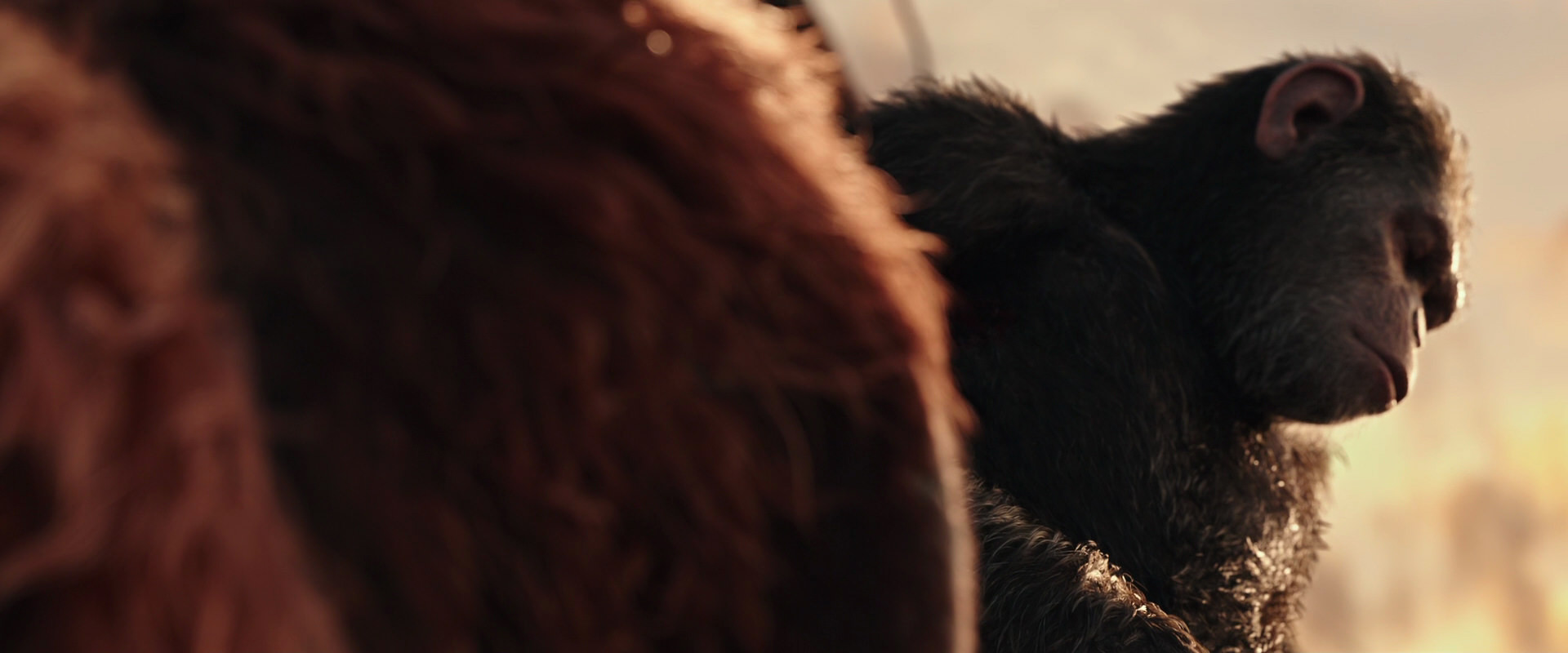 War for the Planet of the Apes (2017) screencap 15576