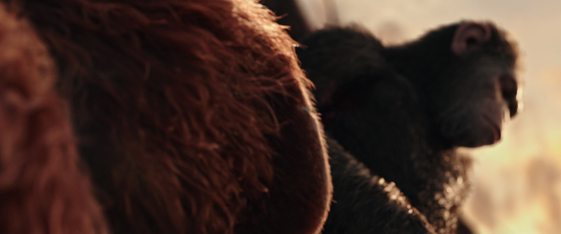War for the Planet of the Apes (2017) HD screenshot 15578