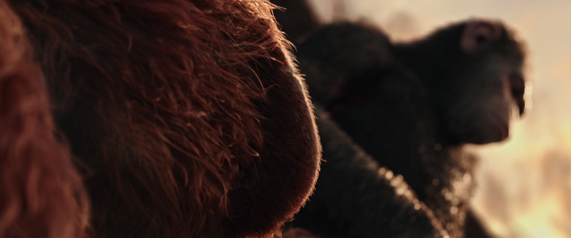 War for the Planet of the Apes (2017) screencap 15579