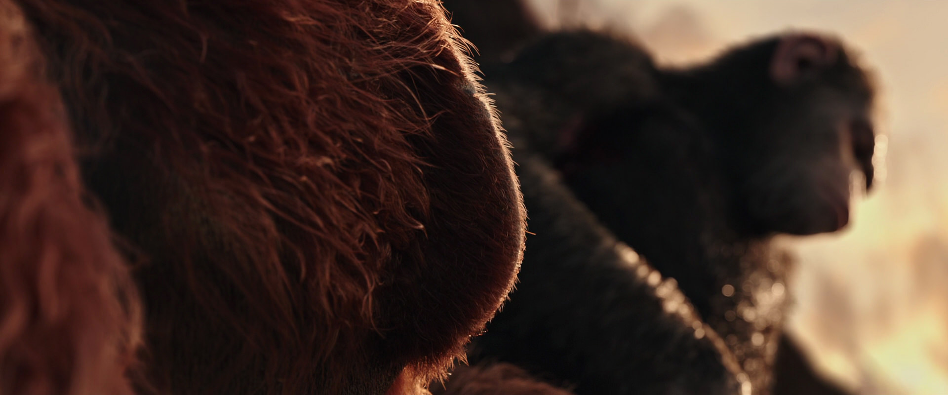 War for the Planet of the Apes (2017) movie still 15580