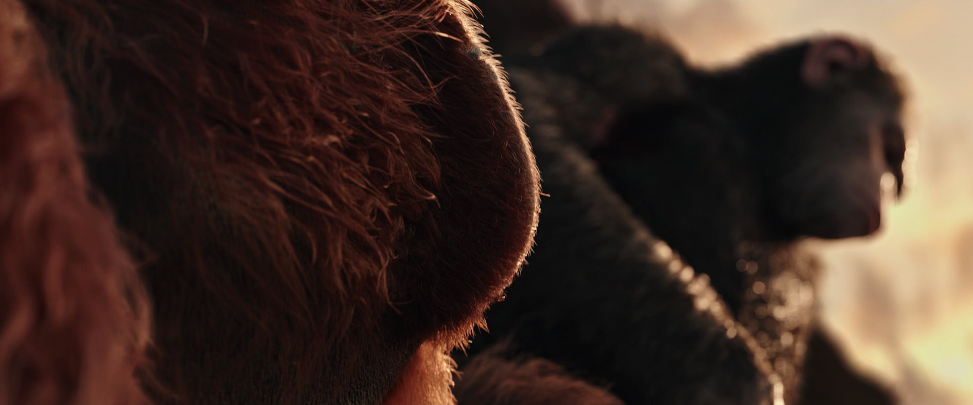 War for the Planet of the Apes (2017) HD screenshot 15581