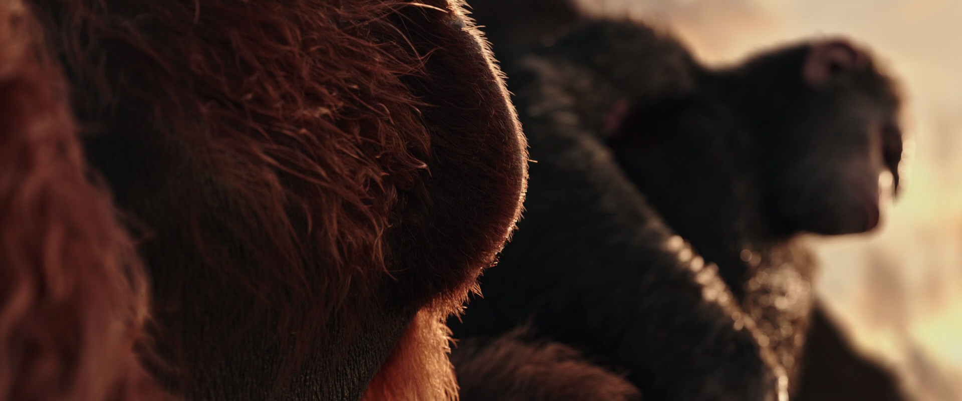 War for the Planet of the Apes (2017) screencap 15582