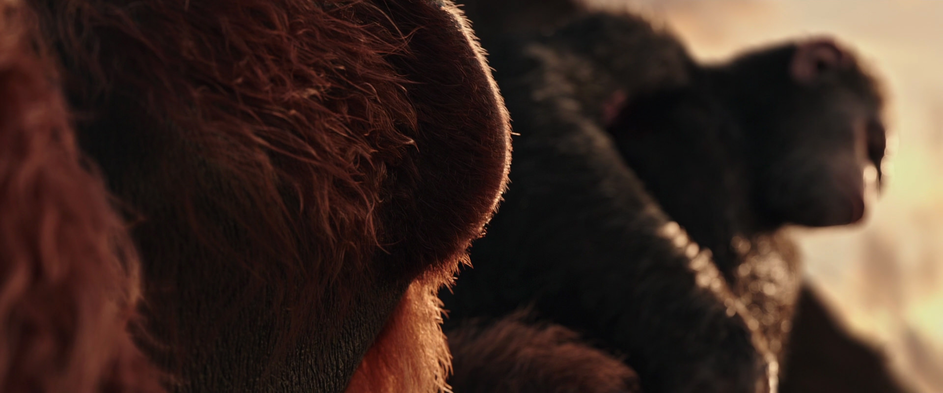 War for the Planet of the Apes (2017) movie still 15583