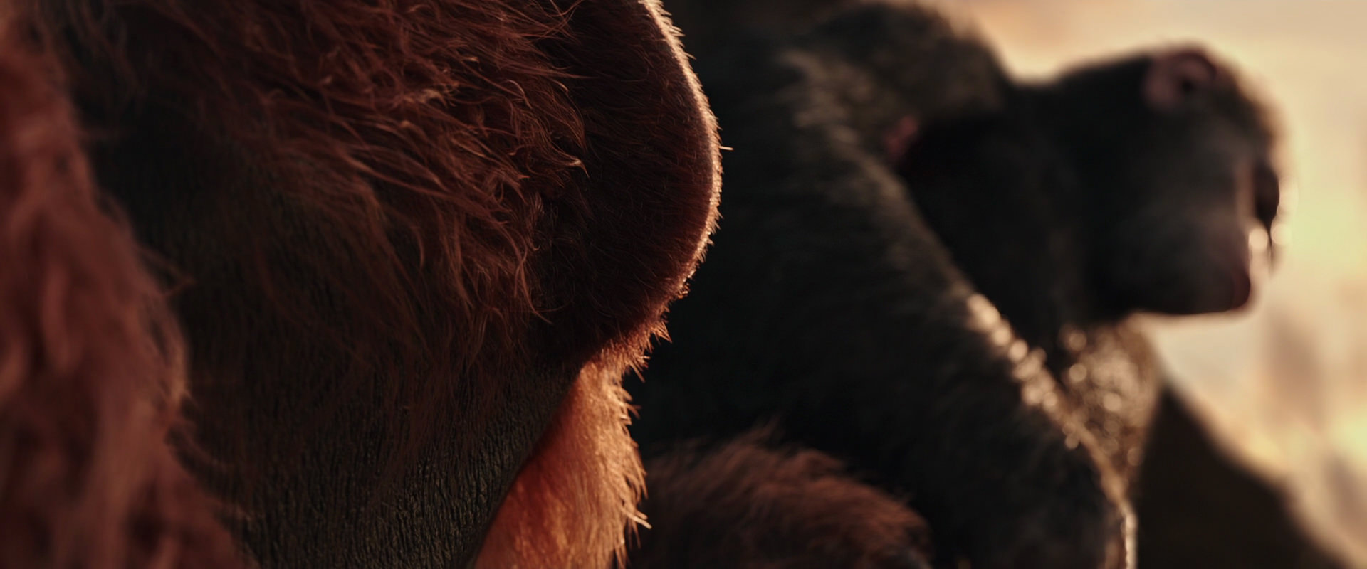 War for the Planet of the Apes (2017) HD screenshot 15584