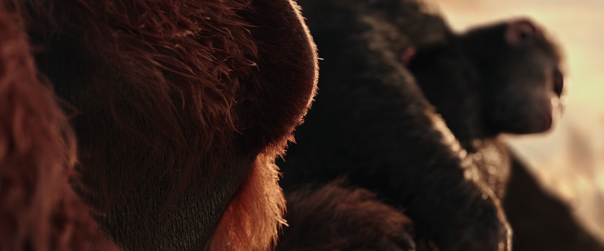 War for the Planet of the Apes (2017) screencap 15585