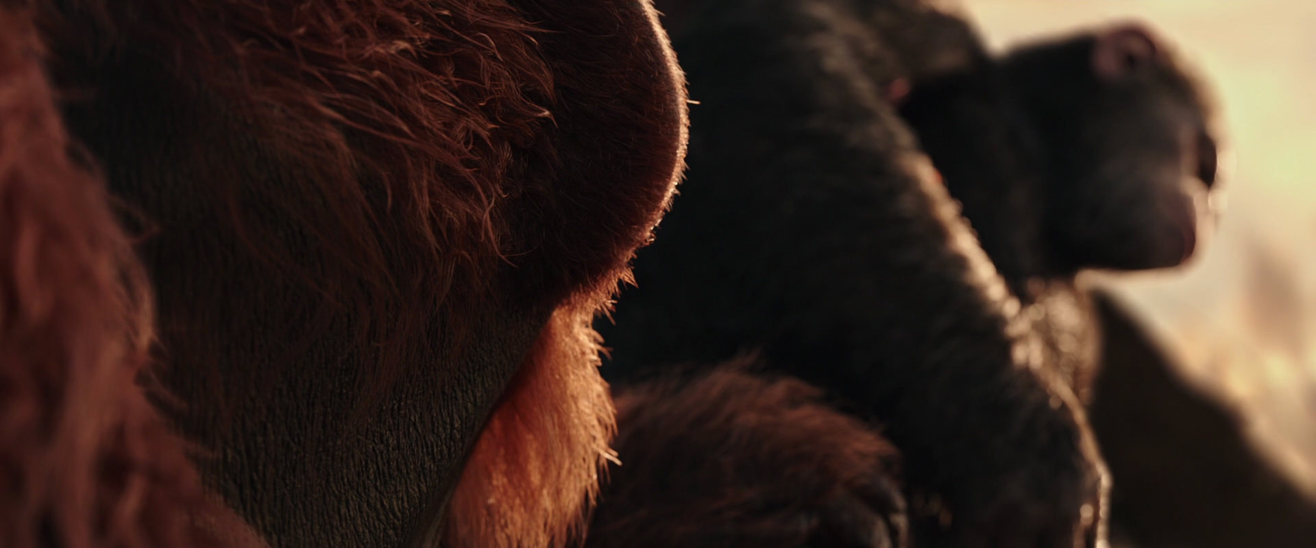 War for the Planet of the Apes (2017) movie still 15586