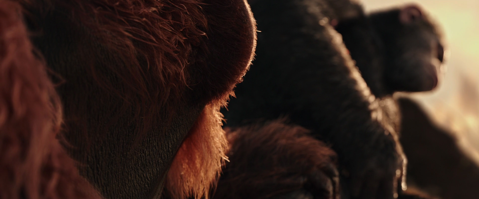 War for the Planet of the Apes (2017) HD screenshot 15587
