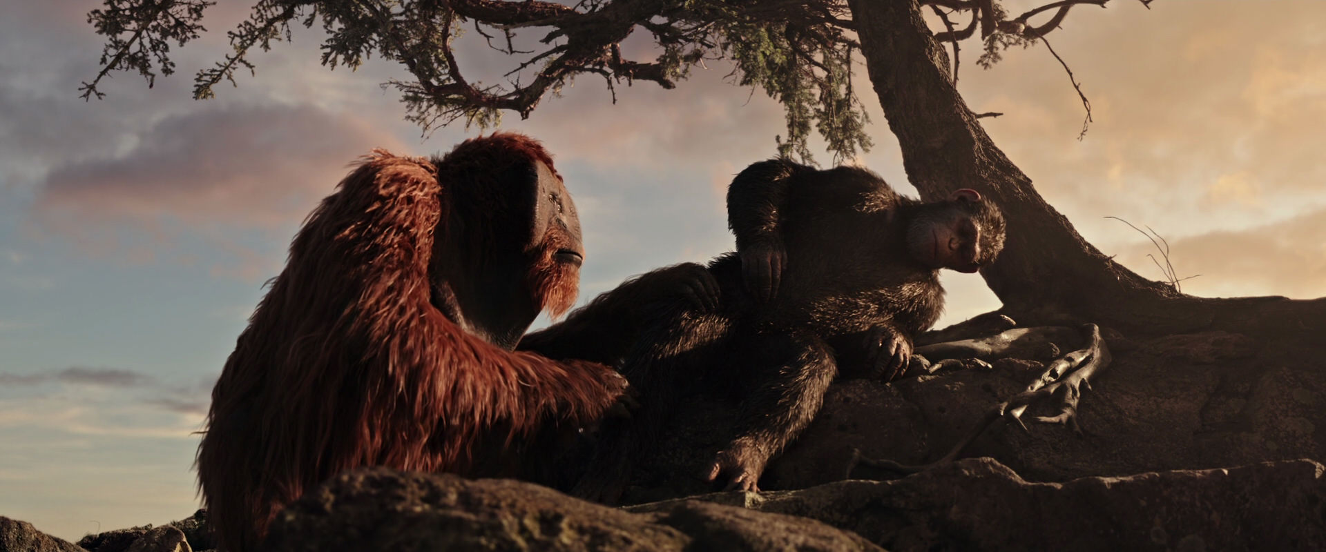 War for the Planet of the Apes (2017) screencap 15588