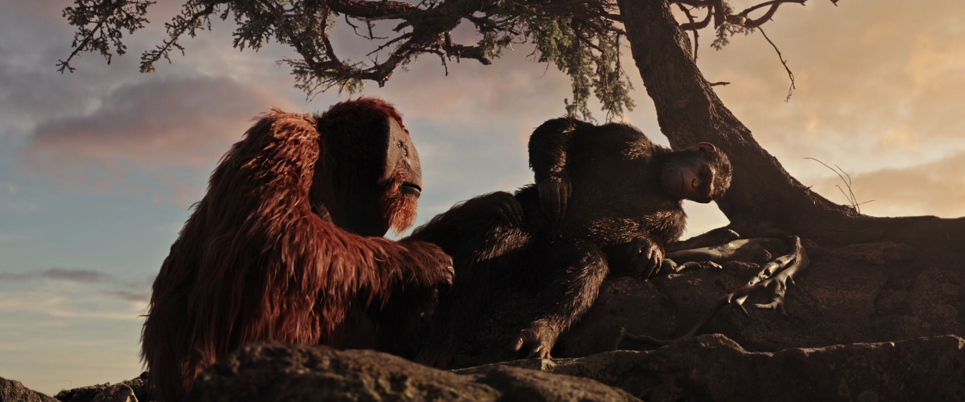 War for the Planet of the Apes (2017) movie still 15589