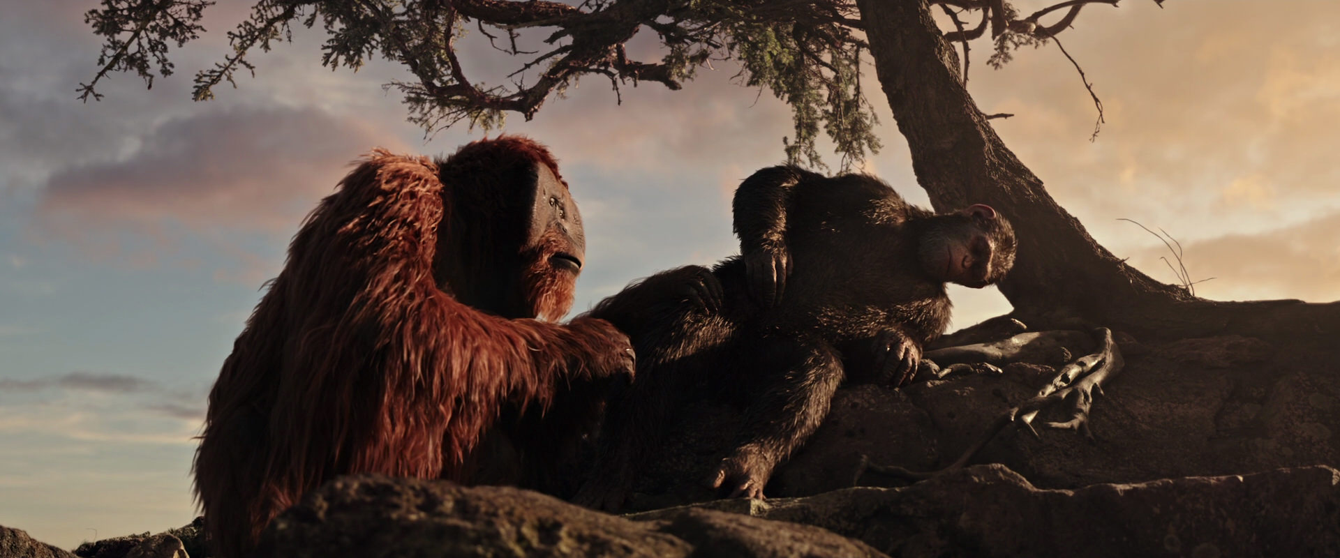 War for the Planet of the Apes (2017) HD screenshot 15590