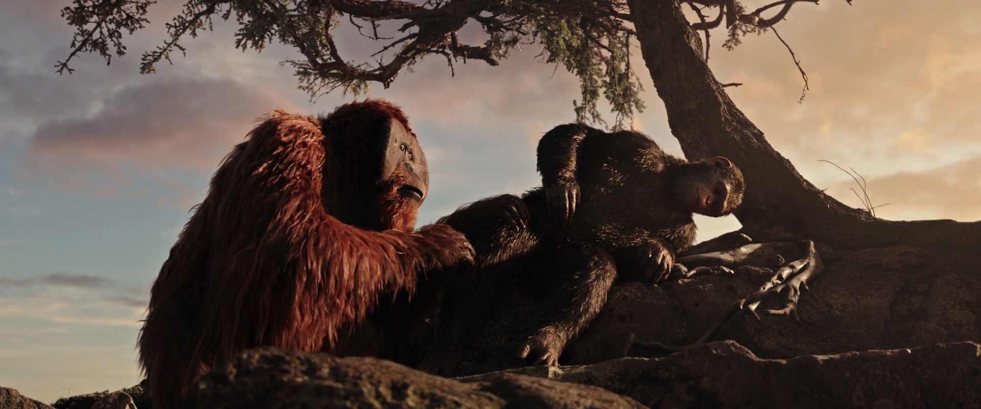 War for the Planet of the Apes (2017) screencap 15591