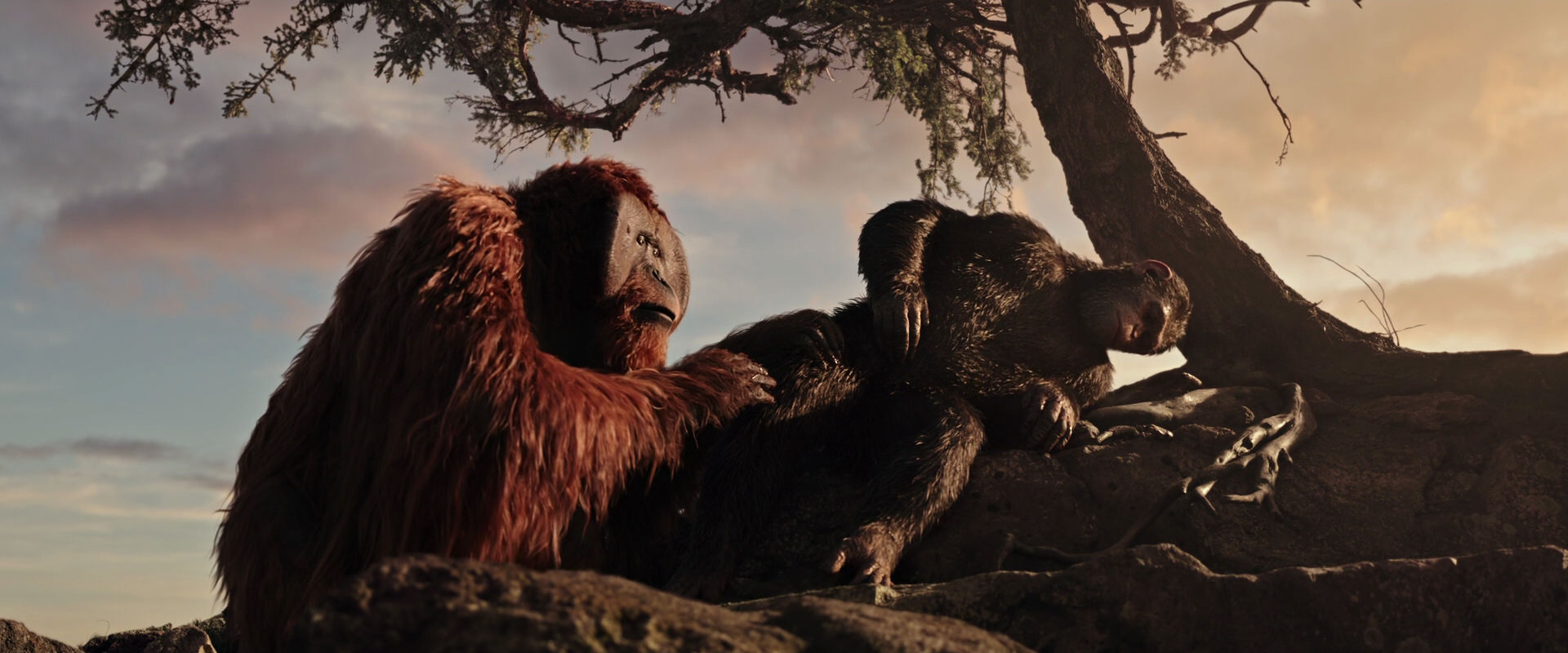War for the Planet of the Apes (2017) movie still 15592