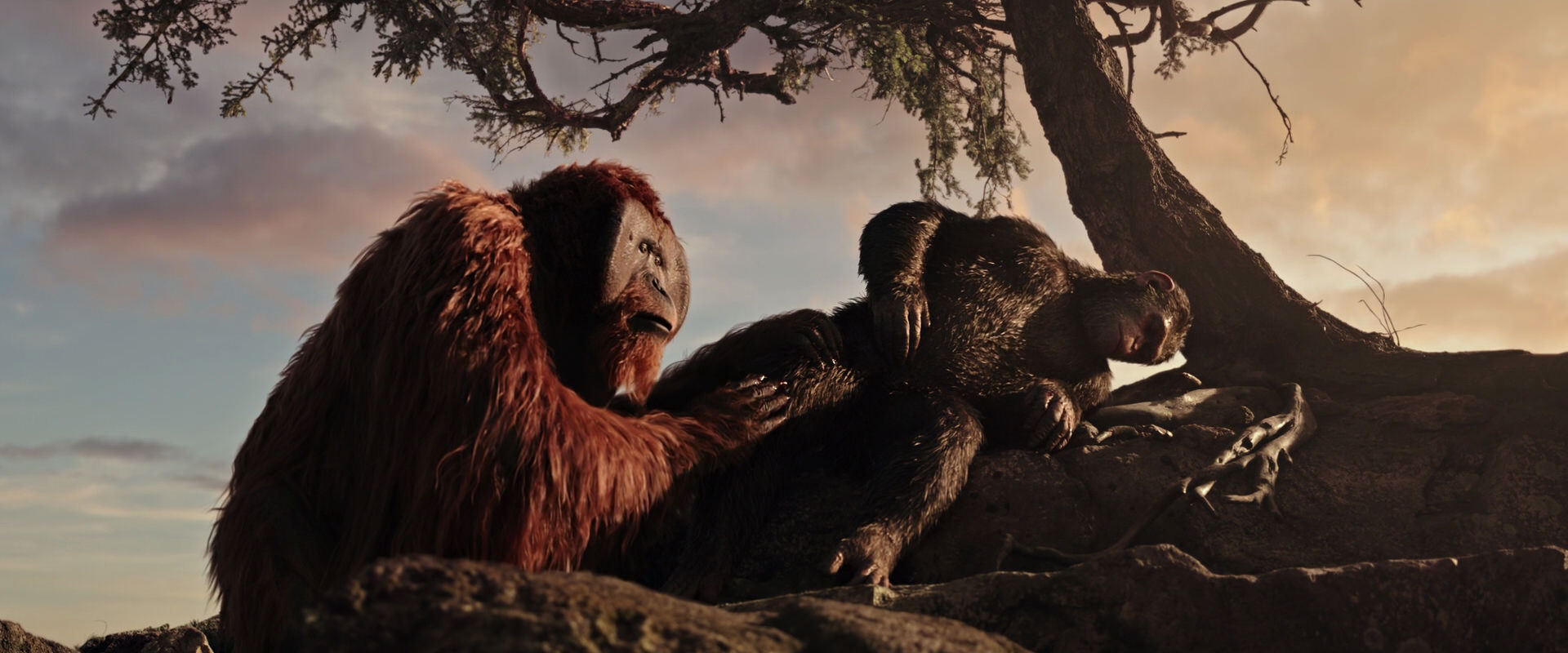 War for the Planet of the Apes (2017) HD screenshot 15593
