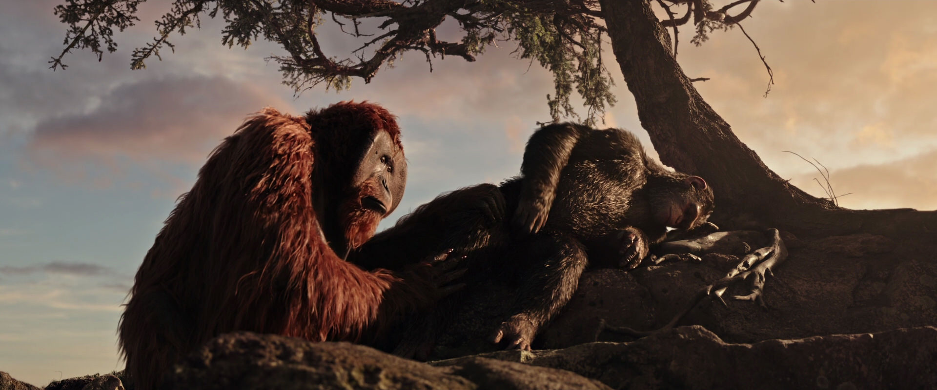 War for the Planet of the Apes (2017) movie still 15595