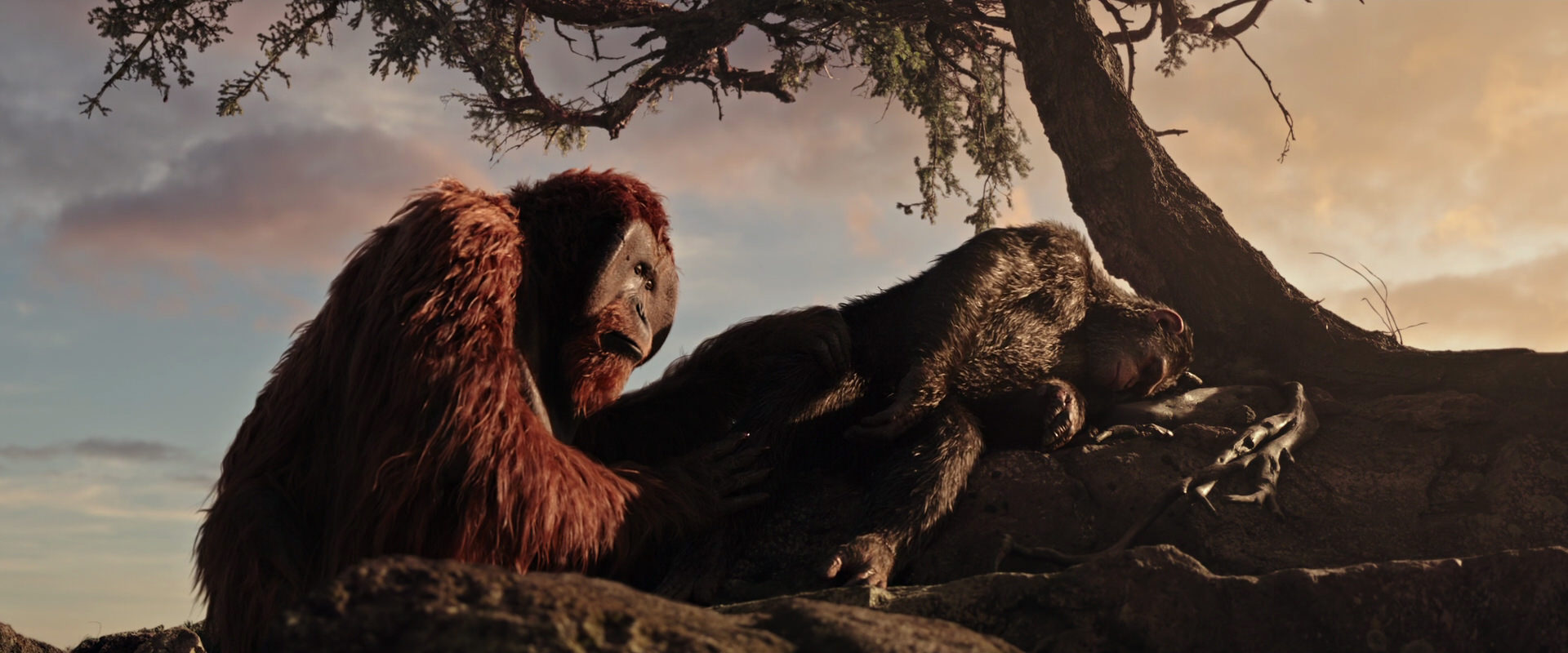 War for the Planet of the Apes (2017) HD screenshot 15596