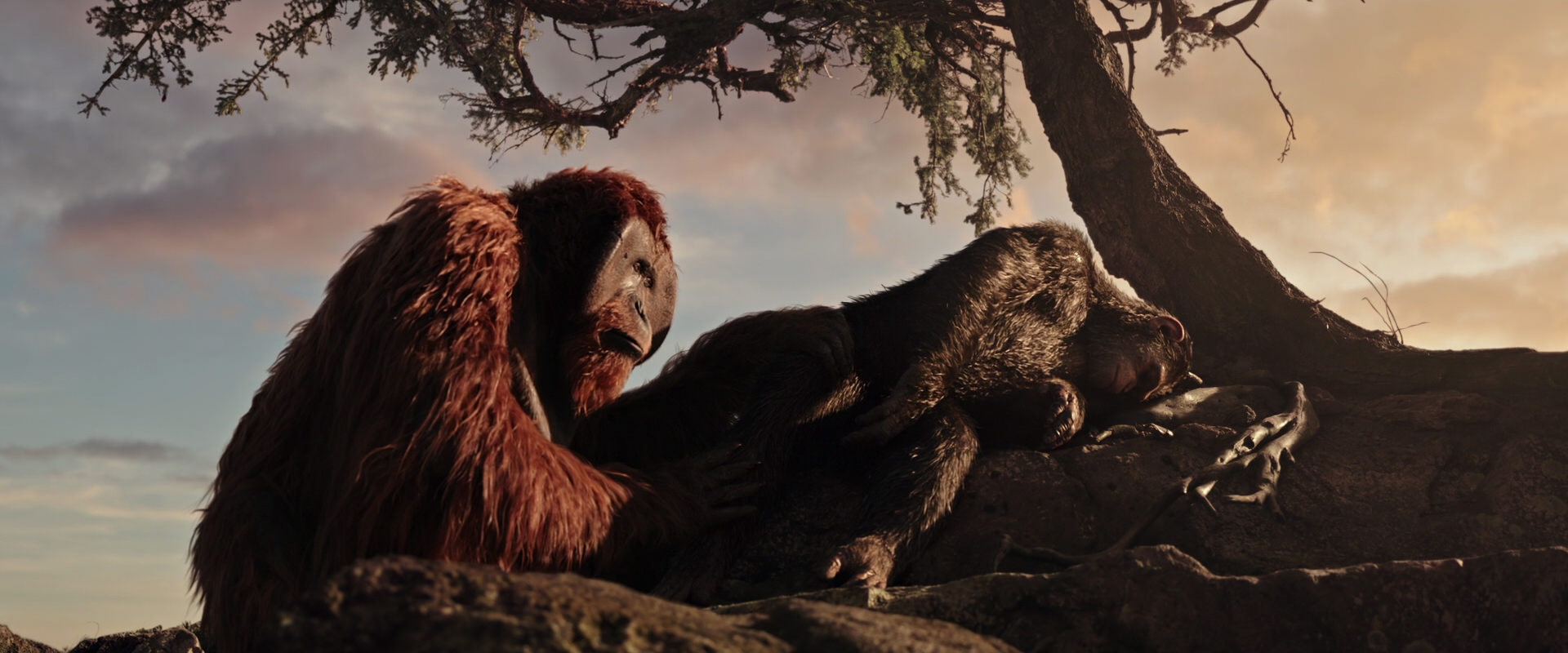 War for the Planet of the Apes (2017) screencap 15597