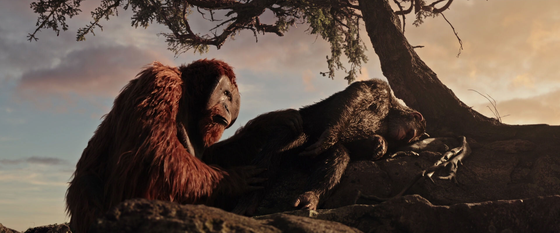 War for the Planet of the Apes (2017) movie still 15598