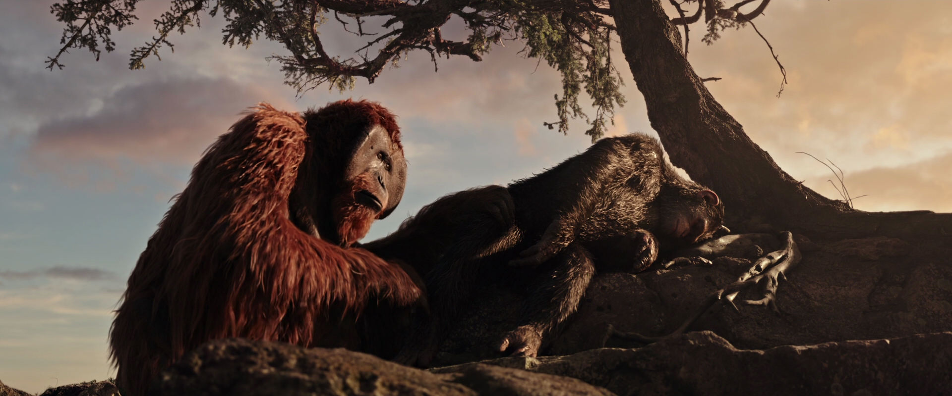 War for the Planet of the Apes (2017) HD screenshot 15599