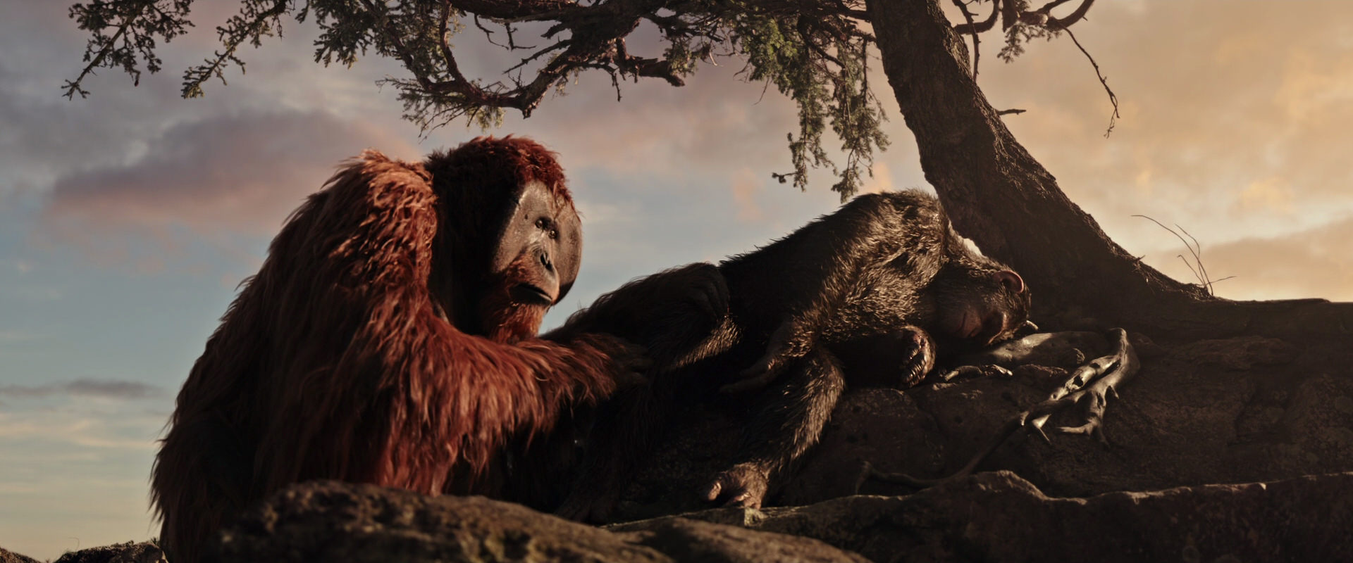 War for the Planet of the Apes (2017) movie still 15601