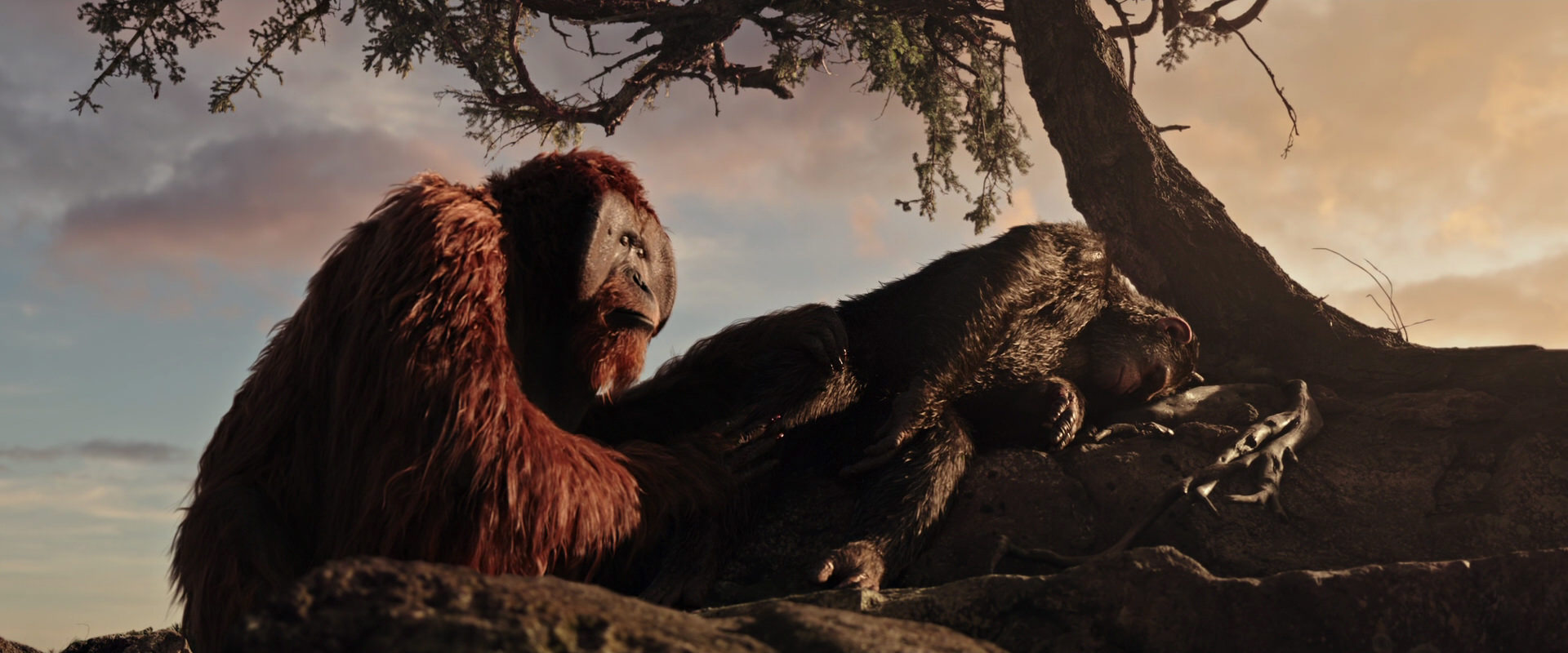 War for the Planet of the Apes (2017) screencap 15603