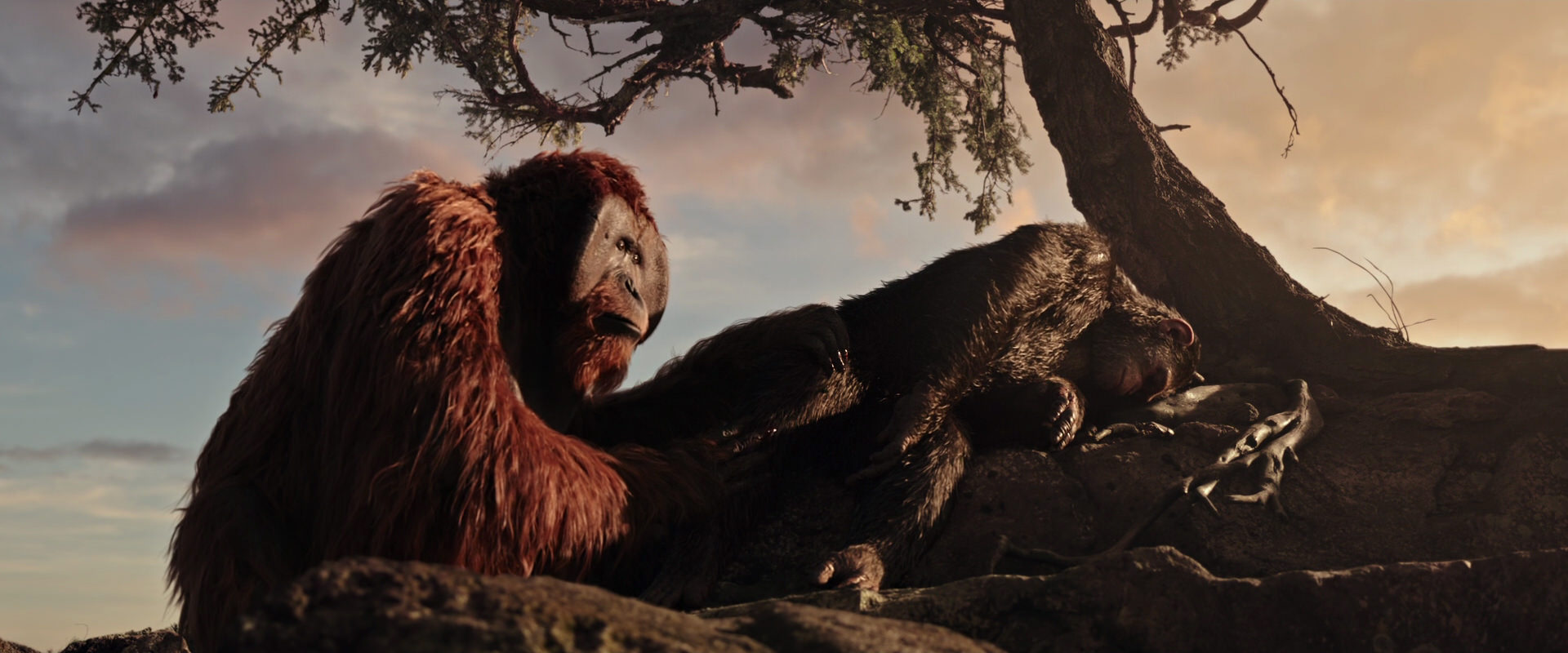 War for the Planet of the Apes (2017) movie still 15604