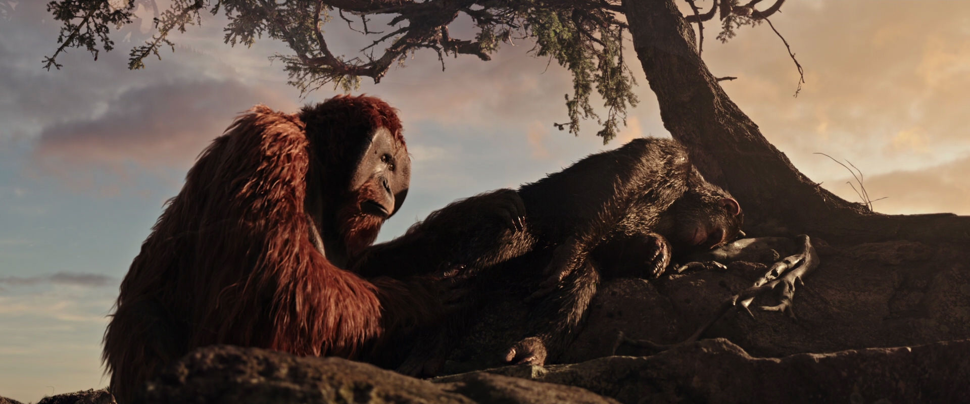 War for the Planet of the Apes (2017) HD screenshot 15605