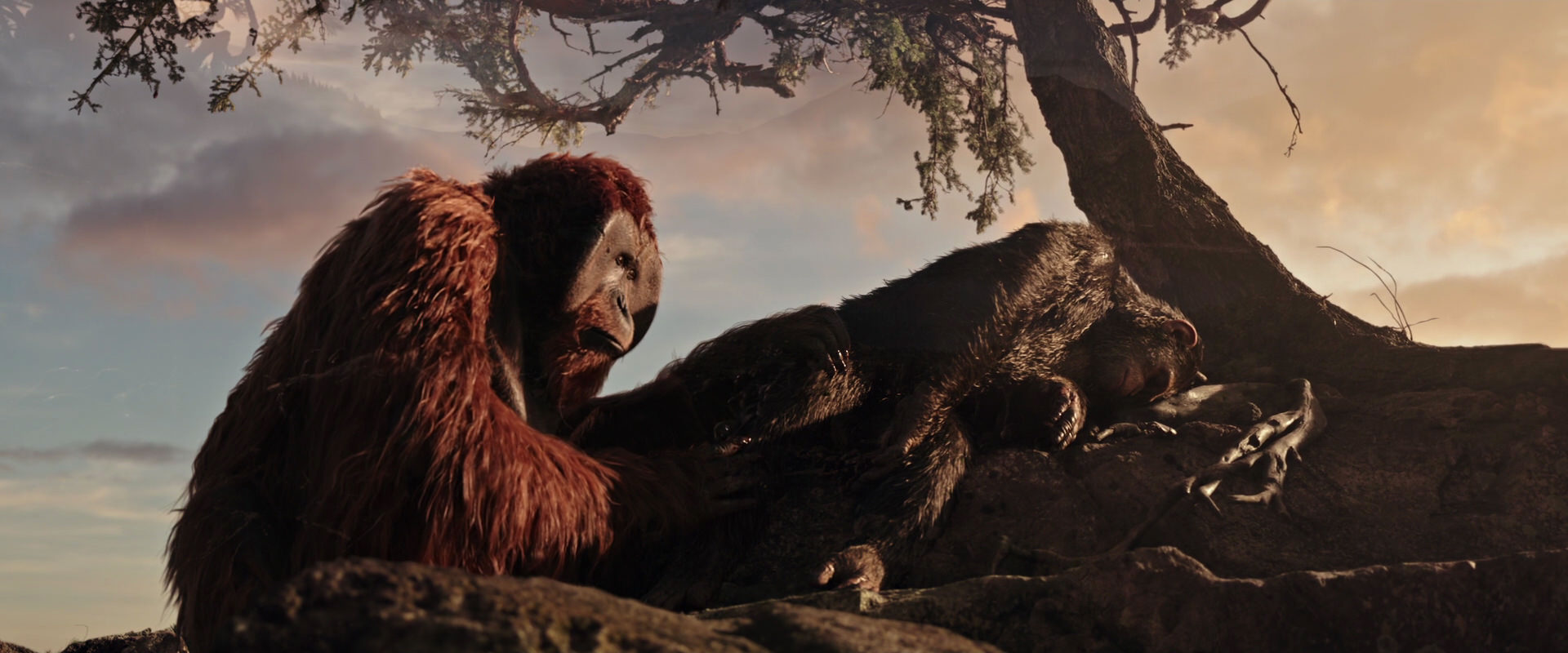War for the Planet of the Apes (2017) screencap 15606