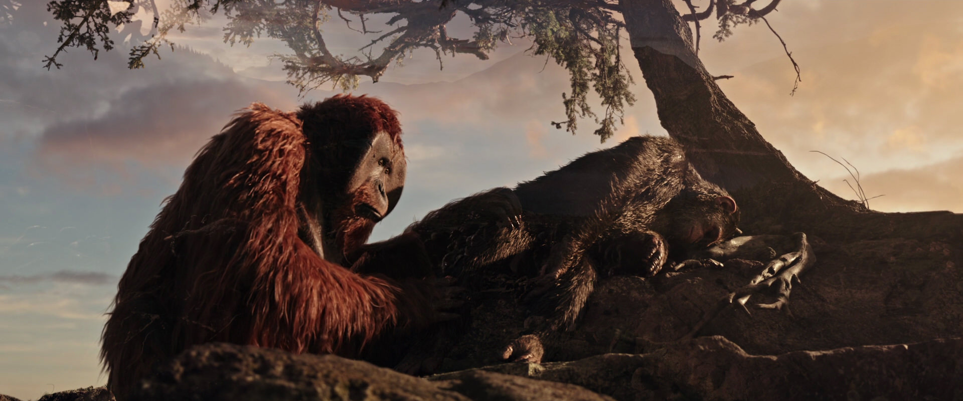War for the Planet of the Apes (2017) movie still 15607