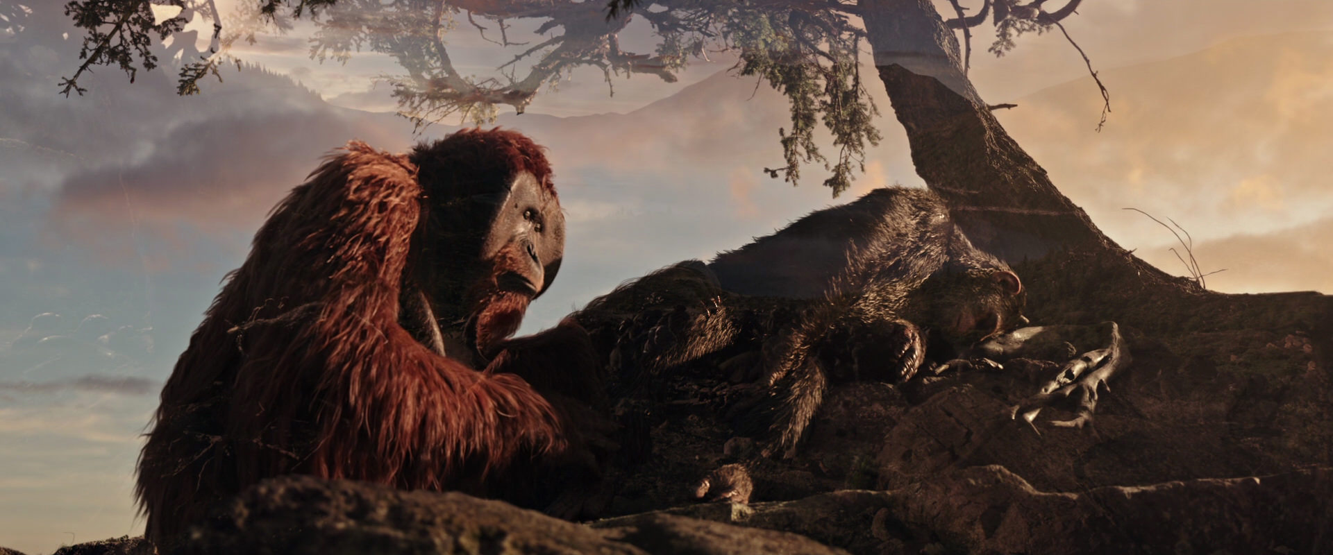 War for the Planet of the Apes (2017) screencap 15609