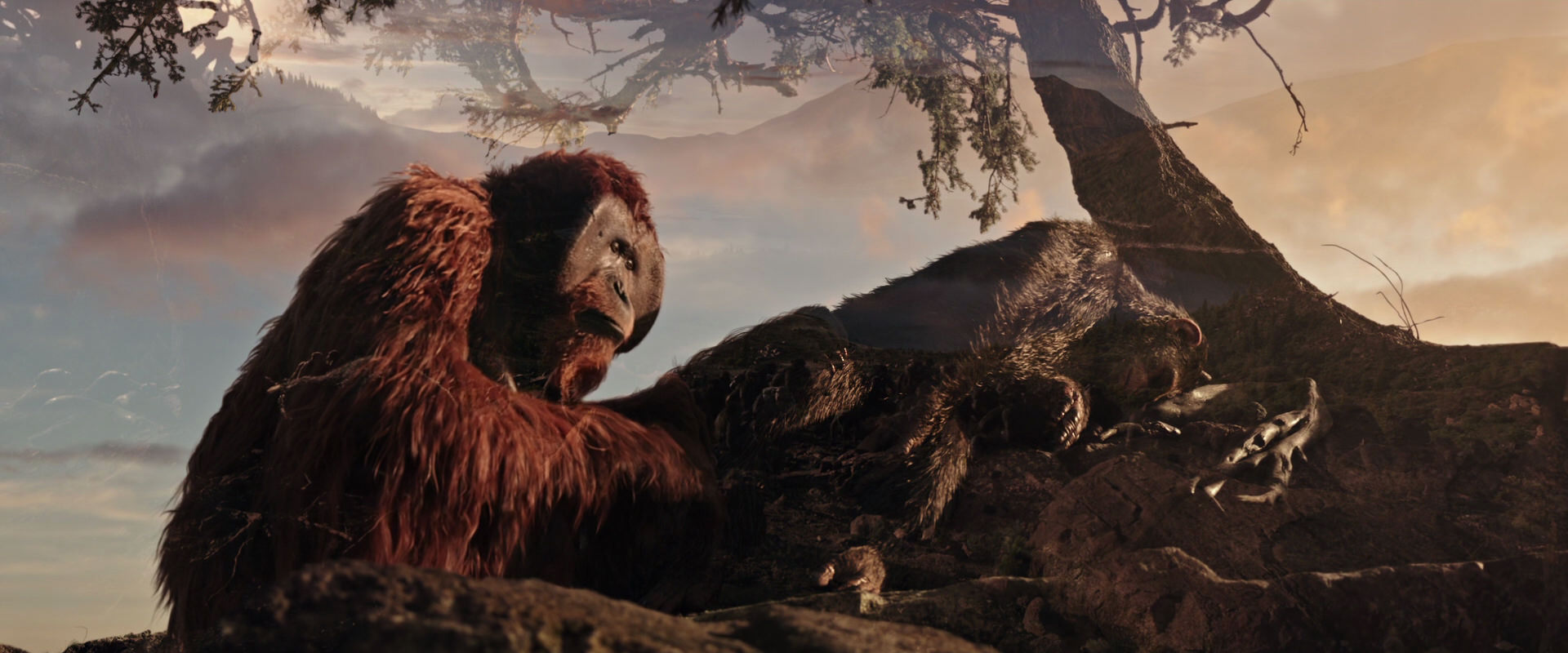 War for the Planet of the Apes (2017) movie still 15610