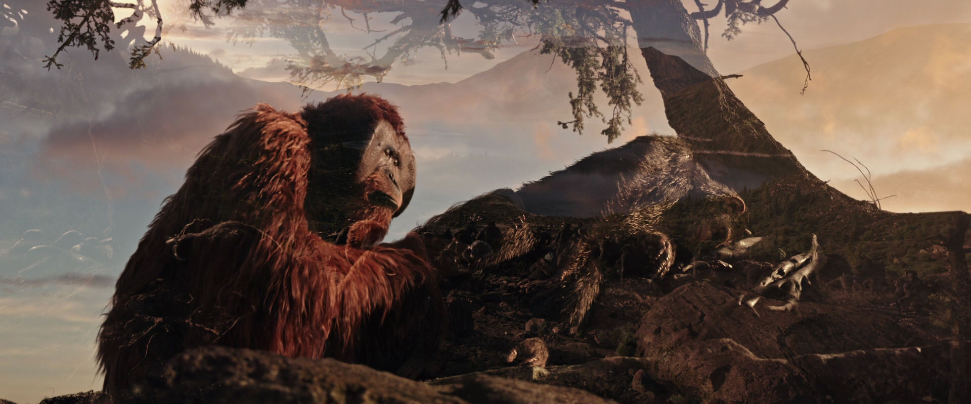 War for the Planet of the Apes (2017) screencap 15612