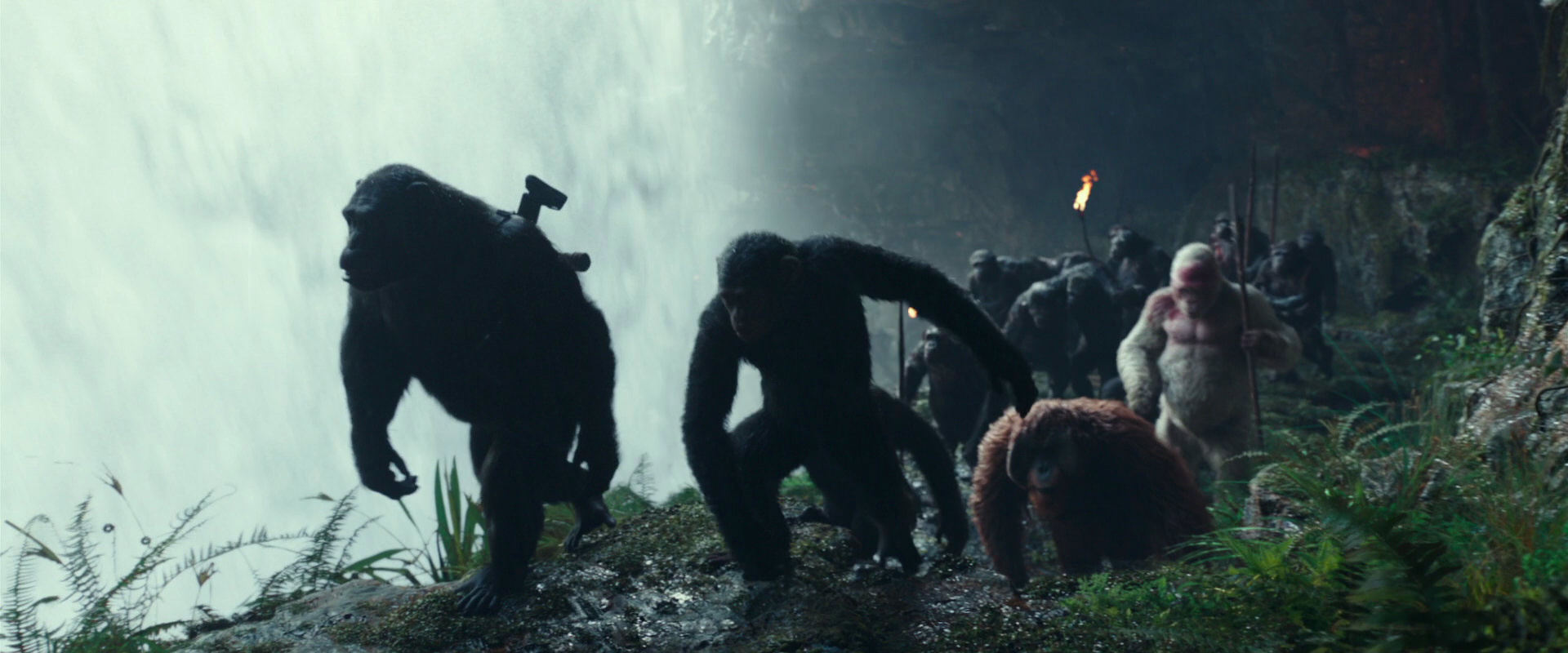 War for the Planet of the Apes (2017) screencap 1563