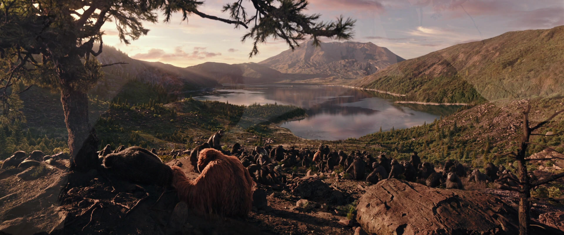 War for the Planet of the Apes (2017) movie still 15631