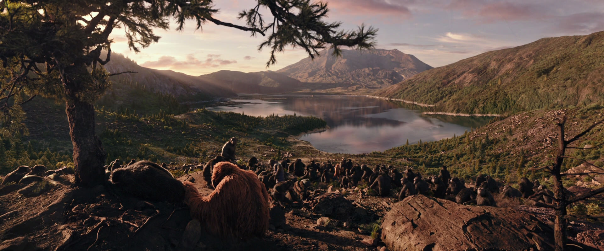 War for the Planet of the Apes (2017) HD screenshot 15632