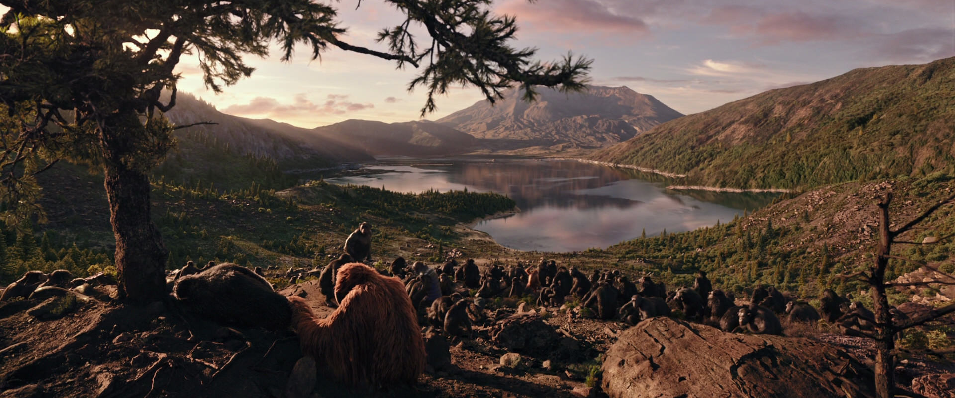 War for the Planet of the Apes (2017) screencap 15633