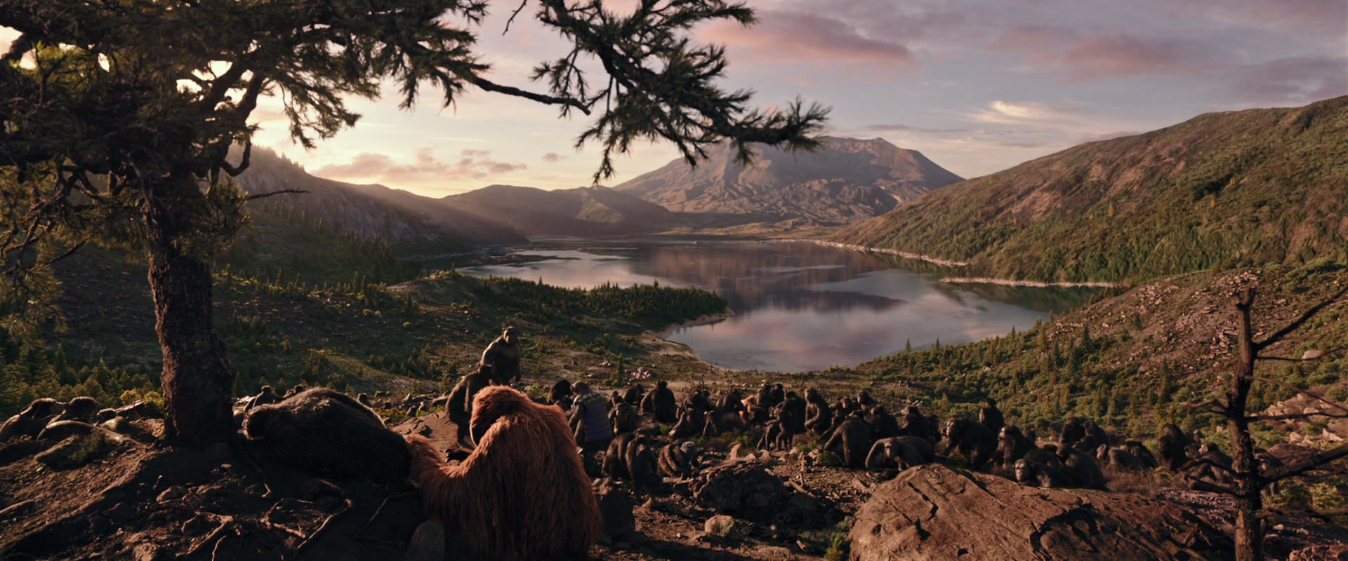 War for the Planet of the Apes (2017) movie still 15634