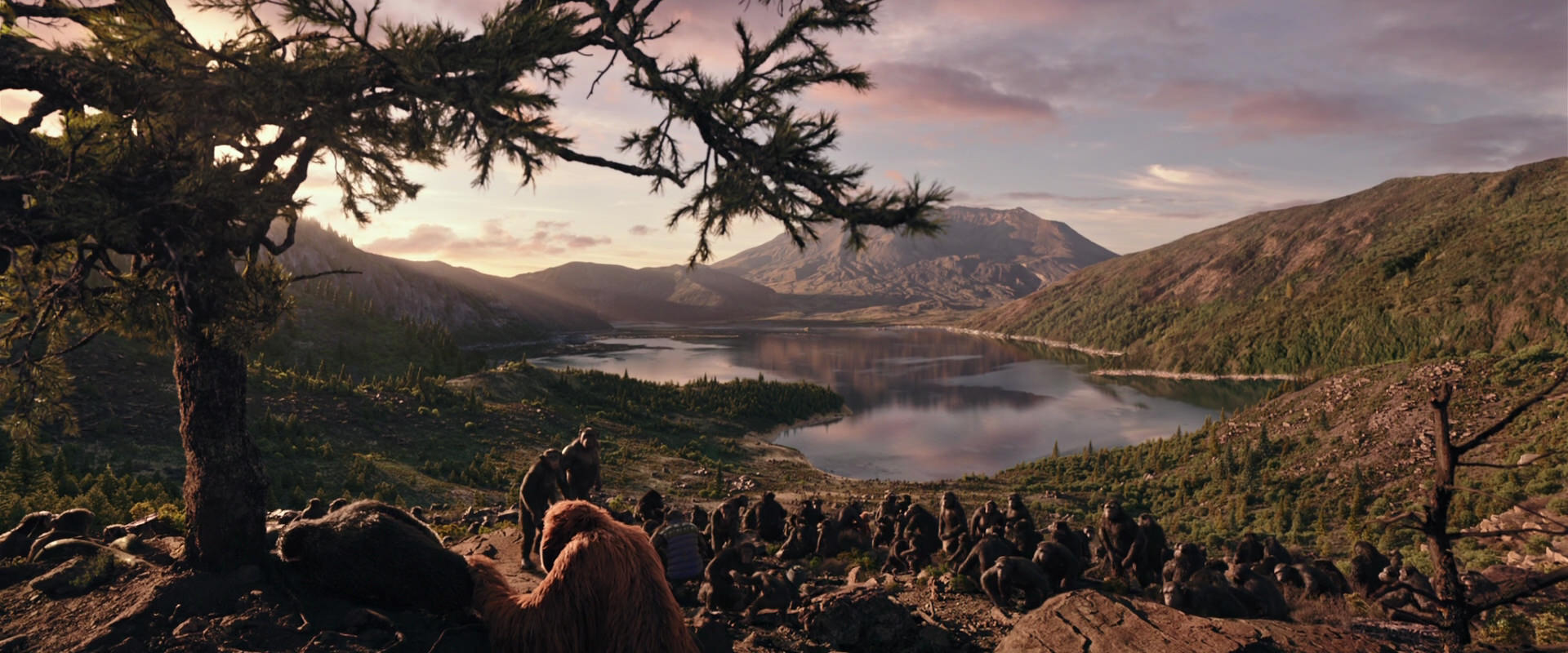 War for the Planet of the Apes (2017) screencap 15636