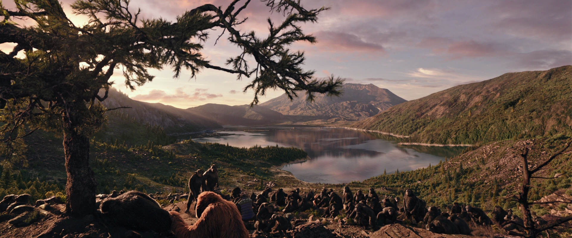War for the Planet of the Apes (2017) movie still 15637