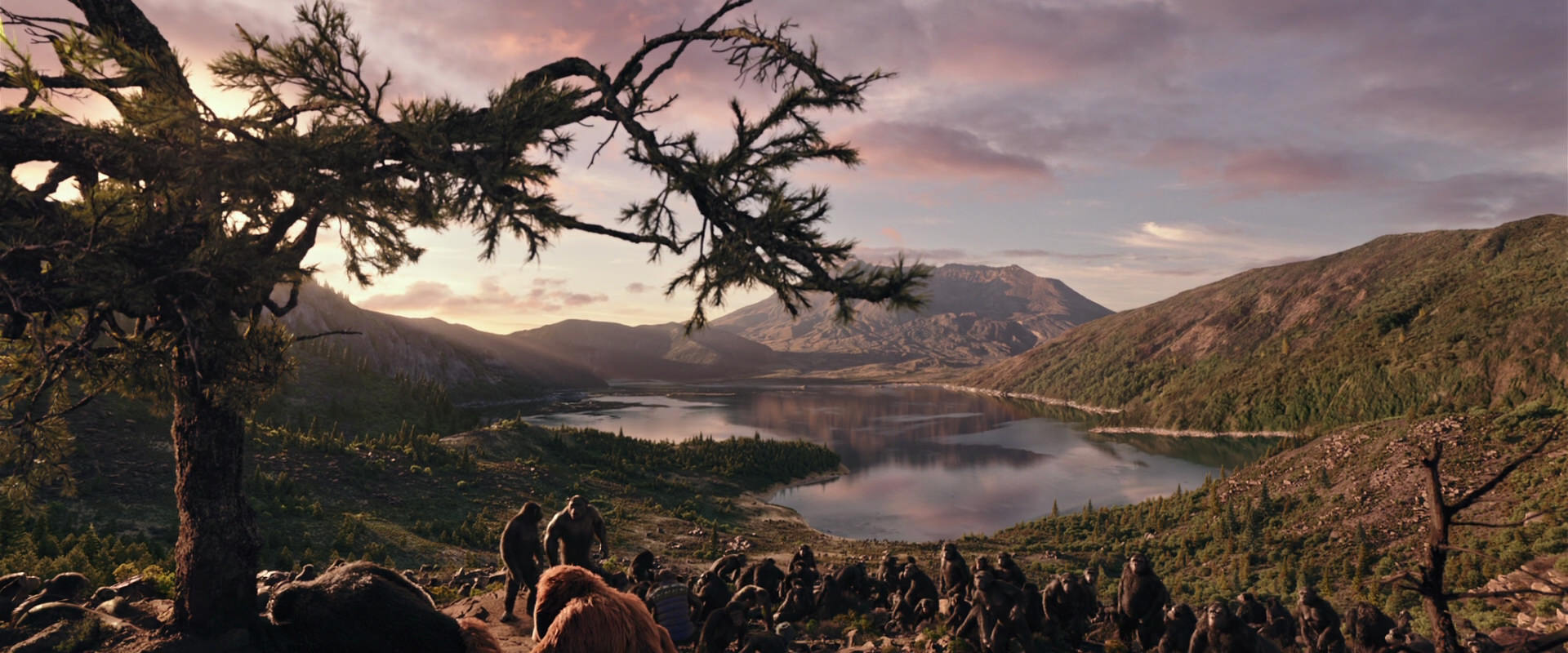 War for the Planet of the Apes (2017) screencap 15639