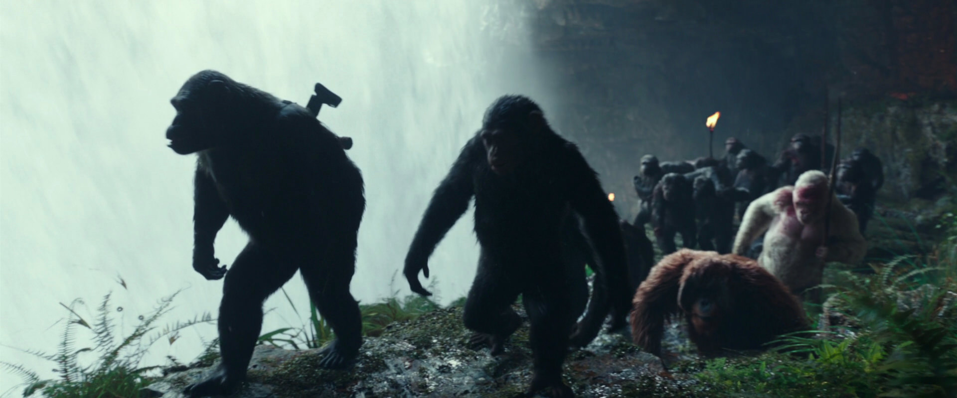 War for the Planet of the Apes (2017) movie still 1564