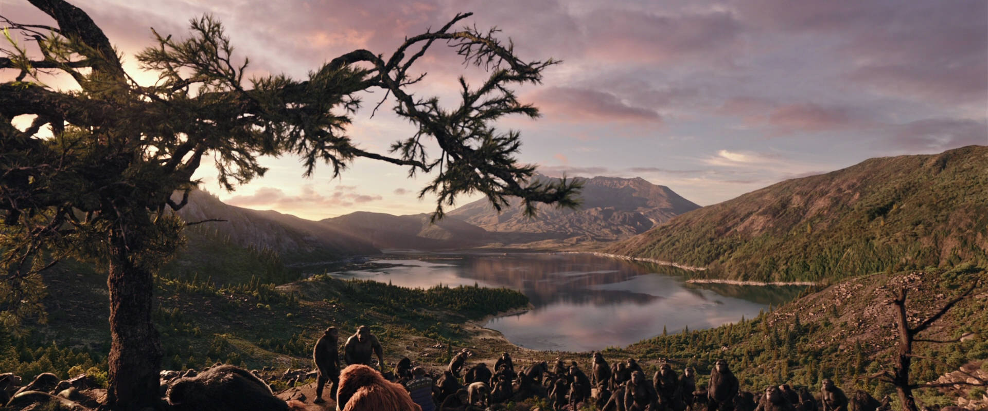 War for the Planet of the Apes (2017) movie still 15640