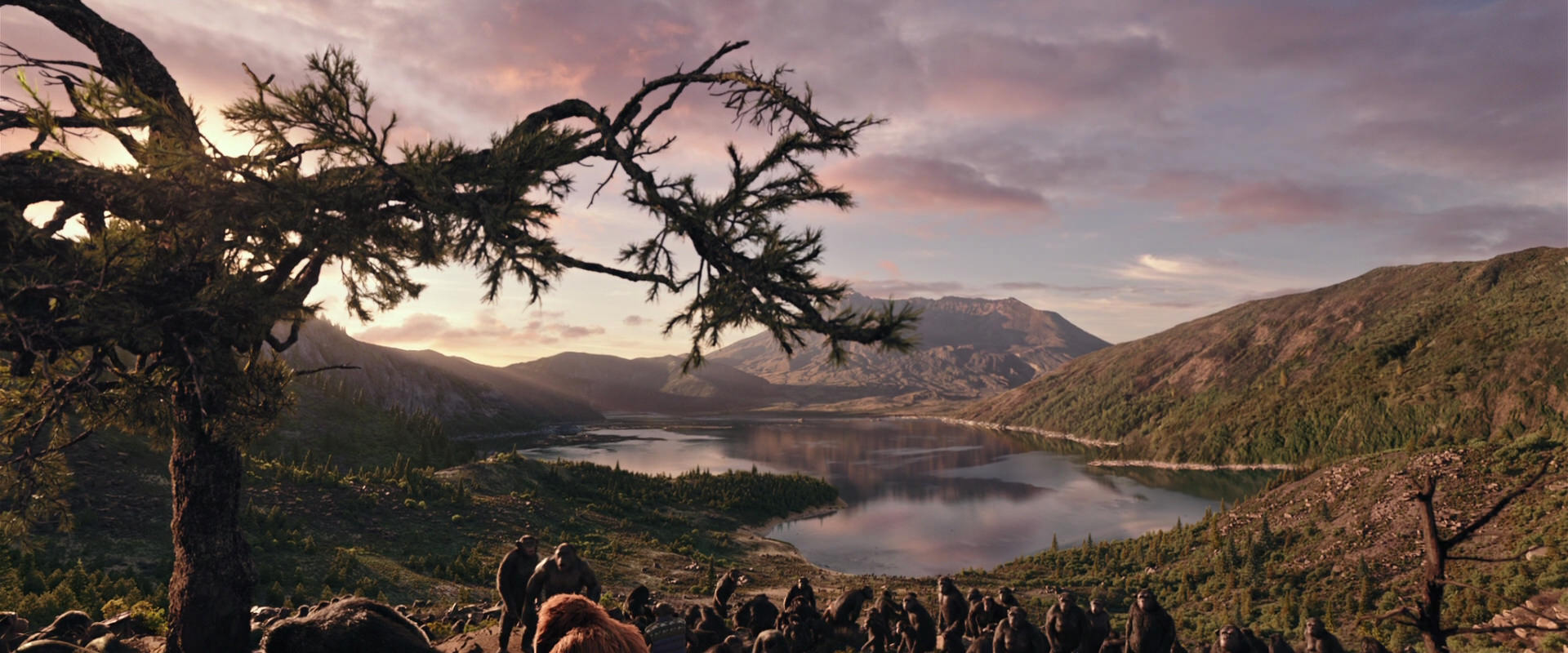 War for the Planet of the Apes (2017) HD screenshot 15641