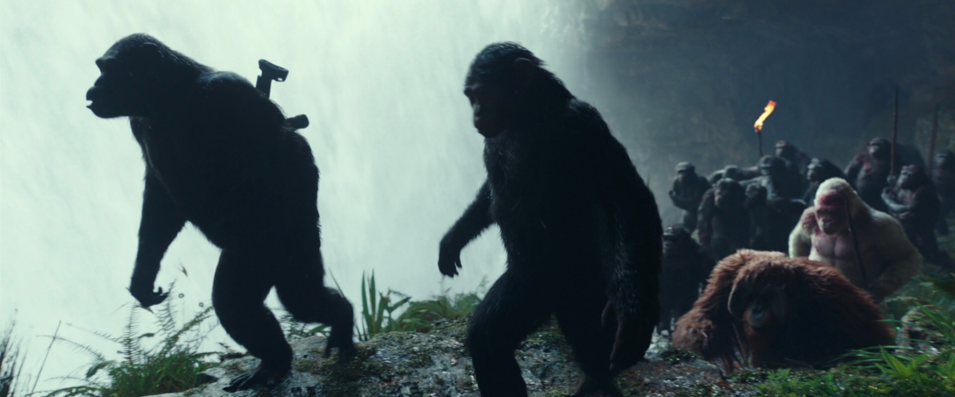 War for the Planet of the Apes (2017) HD screenshot 1565