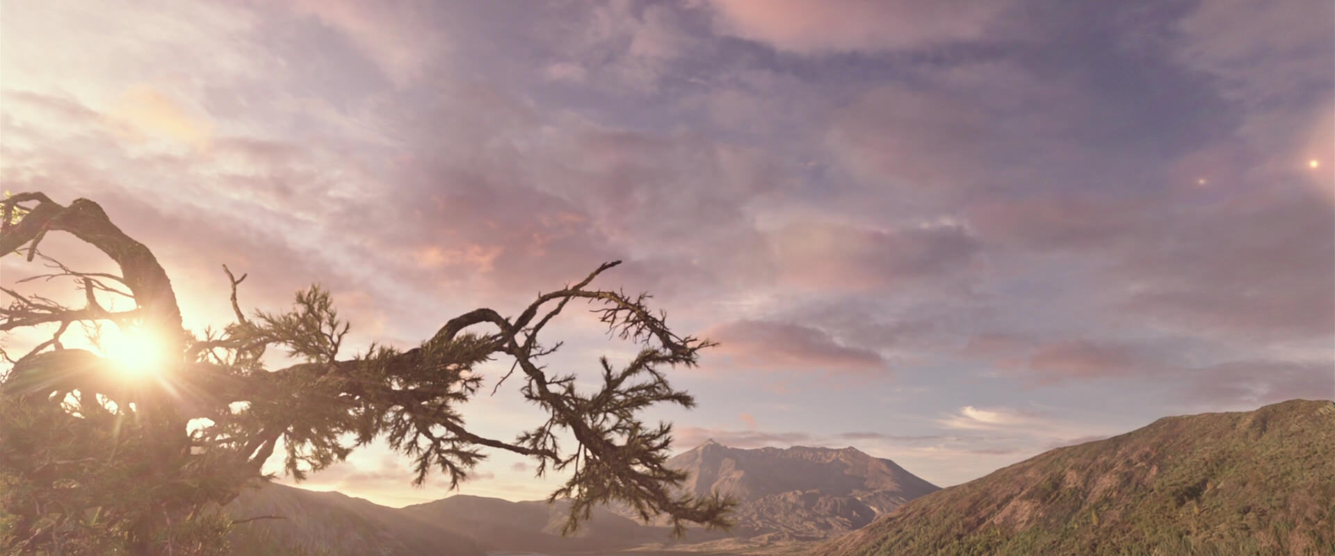 War for the Planet of the Apes (2017) screencap 15654