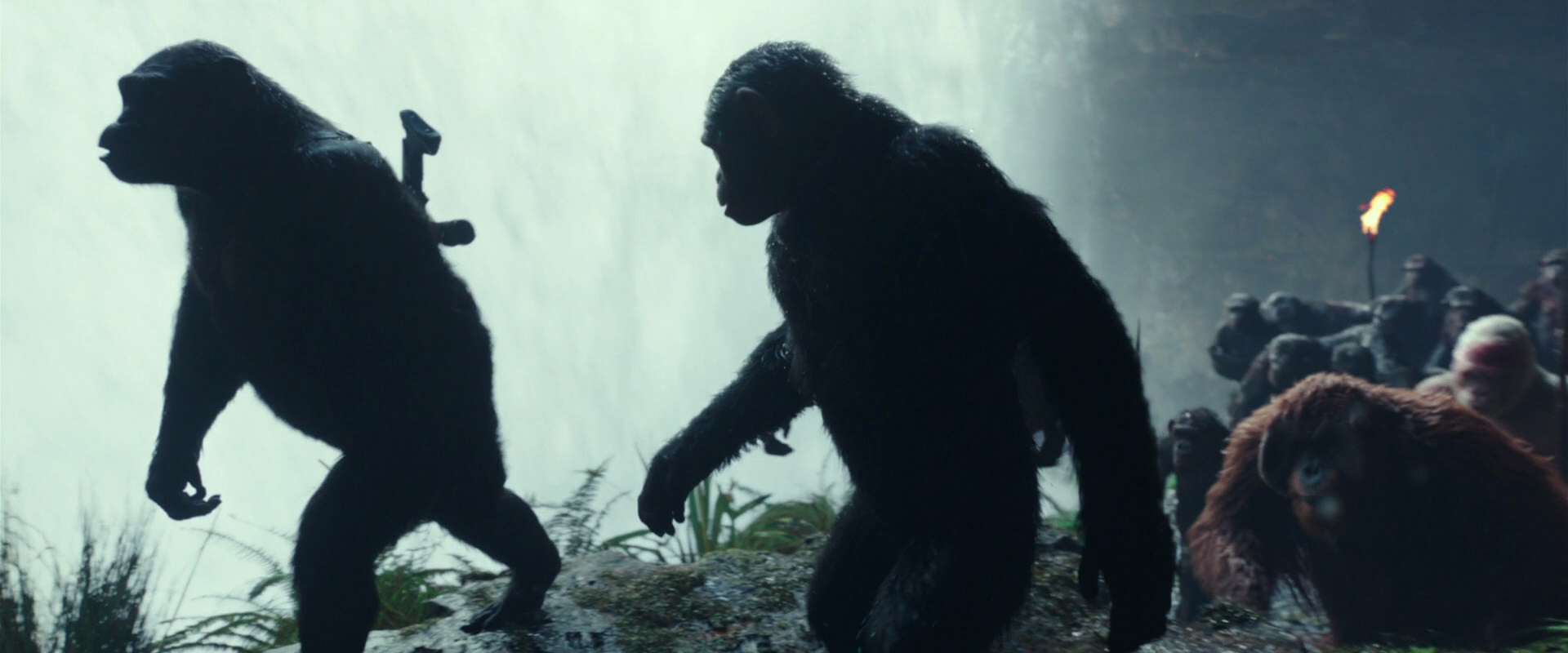 War for the Planet of the Apes (2017) screencap 1566