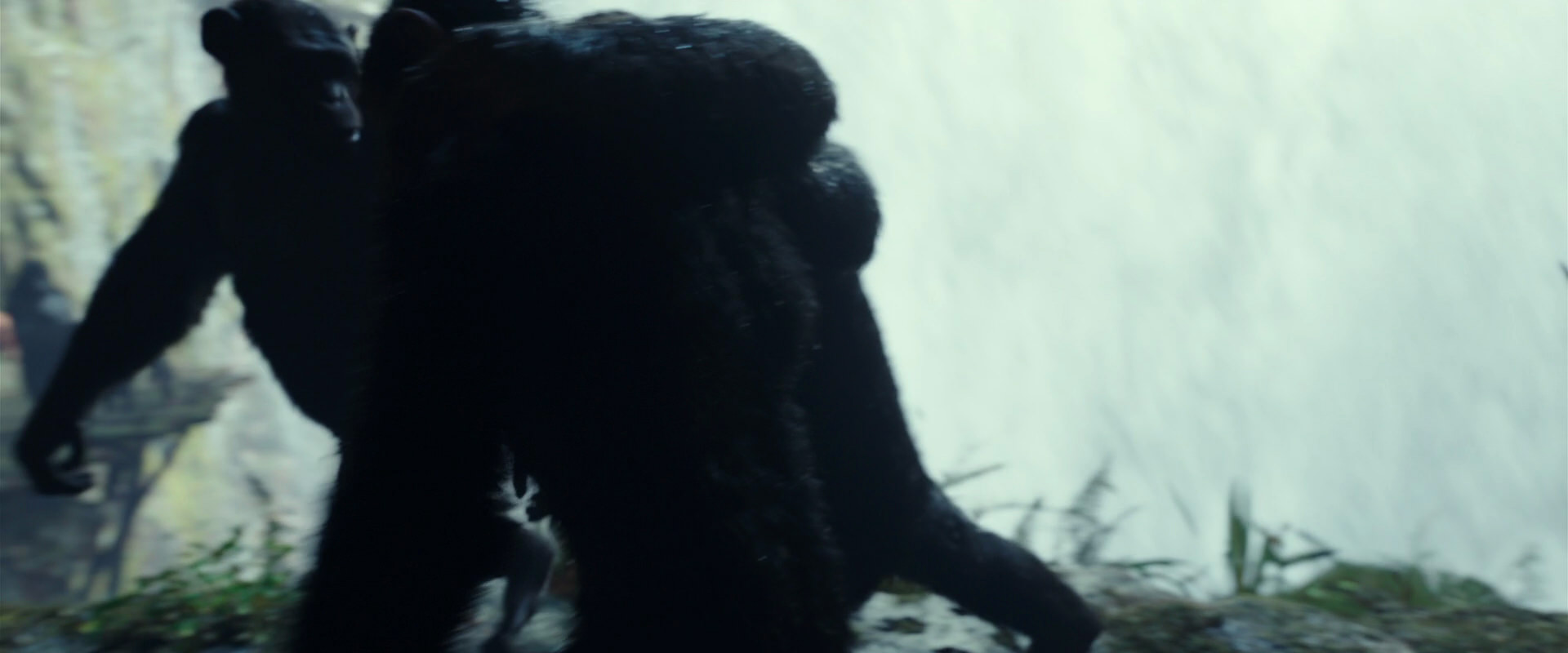 War for the Planet of the Apes (2017) screencap 1569